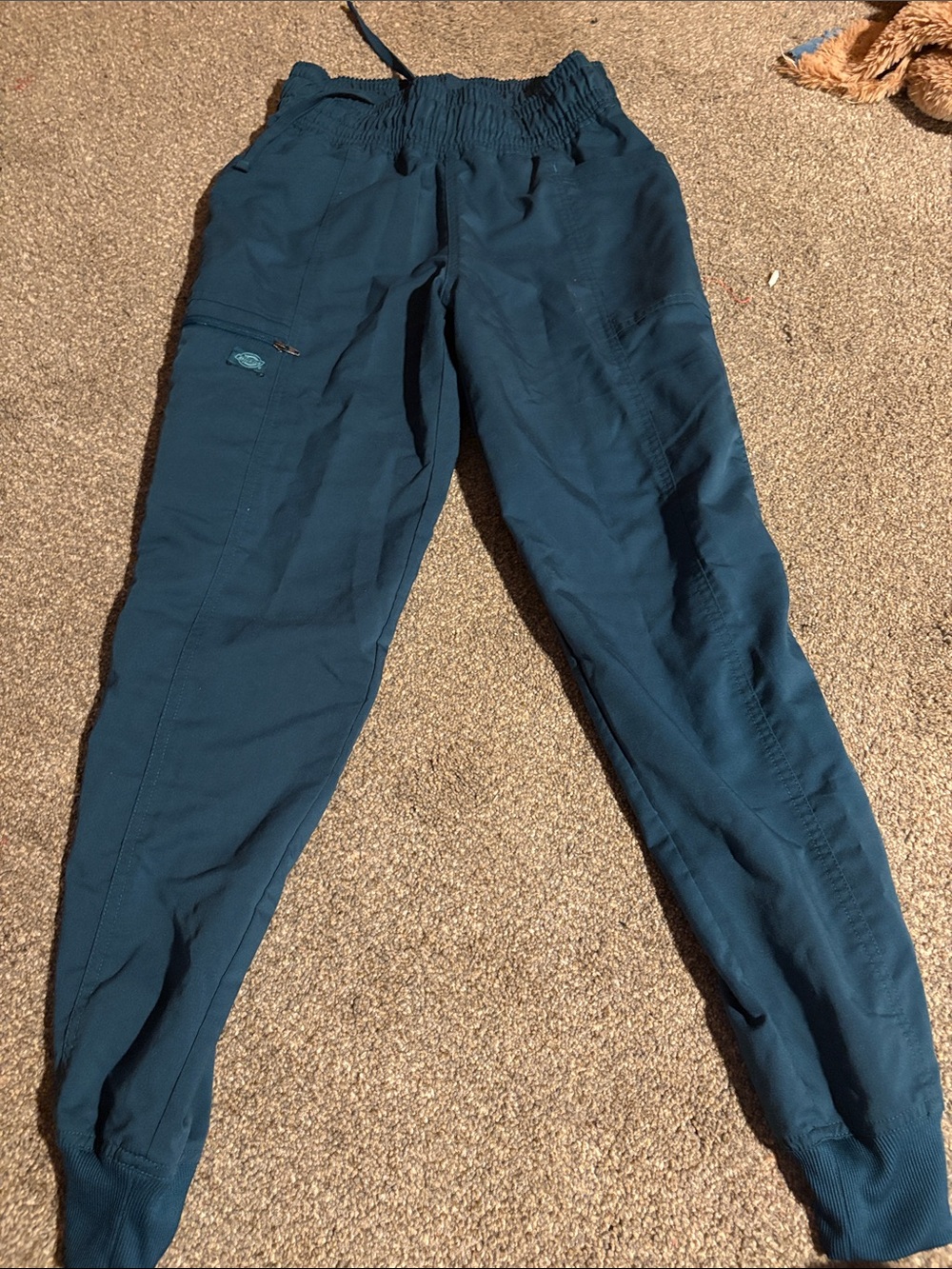 Dickies Teal Ankle Jogger Pants